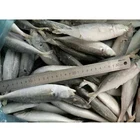 IQF Fish Frozen Horse Mackerel At Factory Price