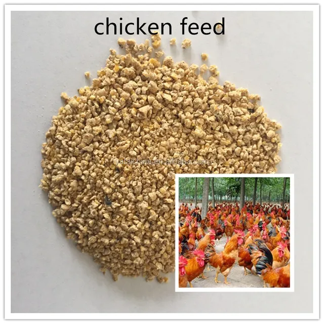 wholesale and bulk hot sale all types of chicken feed