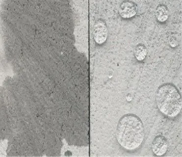 mildew proofing agent for timber