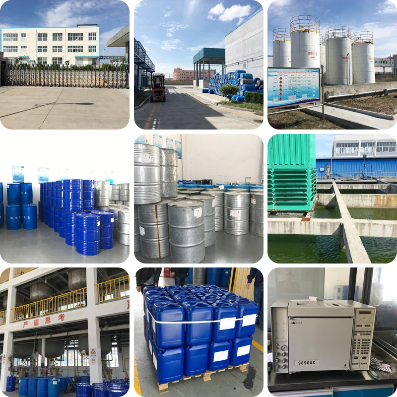 99% Purity 868-77-9 HEMA/Hydroxyethyl Methyacrylate for Nail Gel