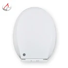 PP plastic toilet seat sanitary ware manufacturer