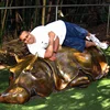 Outdoor garden famous Carving Metal Craft Animal Life Size Bronze Lying Hippo Sculpture