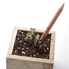 Free Sample China Factory Wholesale Plantable Eco Friendly Pencil With Seed Pencil Seed