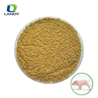 TOP SUPPLIER 60% CORN COB CLORURO DE COLINA CHOLINE CHLORIDE FOR LIVESTOCK