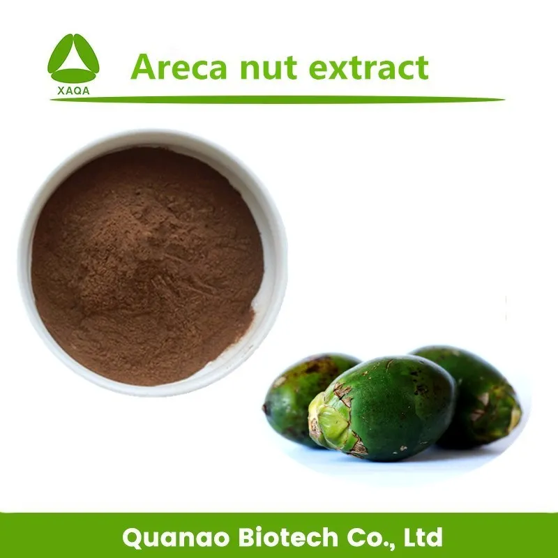 high quality areca catechu extract arecoline betel nut extract