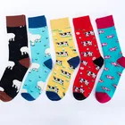 Happy Style Casual Crew Knitted Creative Idea Design Colorful Women and Men's Unisex Fashion Fun Socks