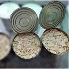 Chinese canned mushroom king oyster price in water in tins