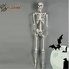 High simulation human body 170cm plastic Skeleton for halloween