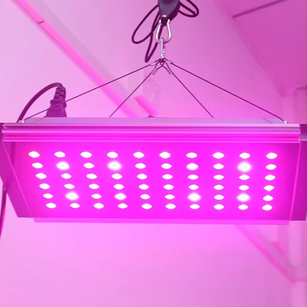 フルスペクトラム高電力300ワットledライトを育てる水耕耕運機赤外線led付きレンズ用屋内植物野菜種子仕入れ・メーカー・工場