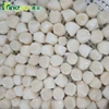 /product-detail/hot-sale-frozen-chinese-various-sizes-bay-scallop-meat-60752184570.html