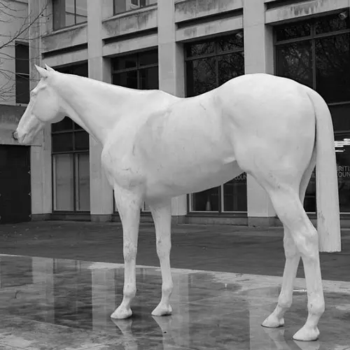 Taille de la vie en plein air statues de cheval à vendre