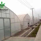 Hot sale PC Sheet Double Layer Plastic Poly Film Arched Greenhouse for Plant Cultivation