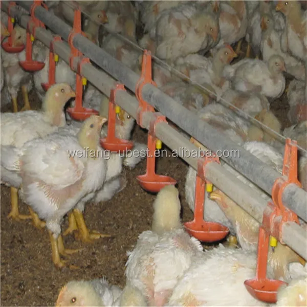Automatic Chicken Raising Equipment Buy Automatic Chicken Raising