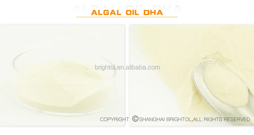 algal oil is the oil that is derived directly from algae