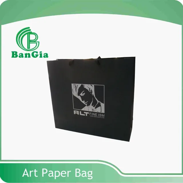 china luxury paper handle bags