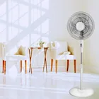 Fan Plastic Stand Fan 16 Inch Plastic Pedestal Fan