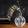 Unique Ball Cactus Shaped Glass Vase Desktop Glass Flower Vase Flower Arrangement Planter For Home Decor Bedroom Decor