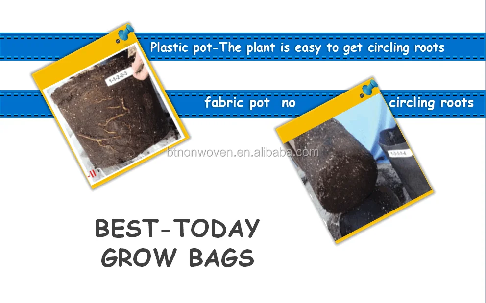 grow bags (28).png