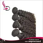 Kinky Curly Bohemian Curl Grey Remy Human Hair Weave, Cheap Wholesale Top Quality Brazilian Human Hair Weave