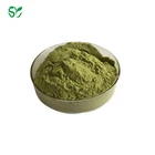 Pure Nature Moringa Leaf Extract Powder Bulk
