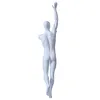 Manequin upper body with leg male dress form fiberglass mannequin