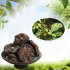 Nuo li guo weight loss herb medicine dried noni slice from hainan