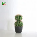 New Desert Design 25cm Artificial Cactus Ball Cactus Succulent Plants