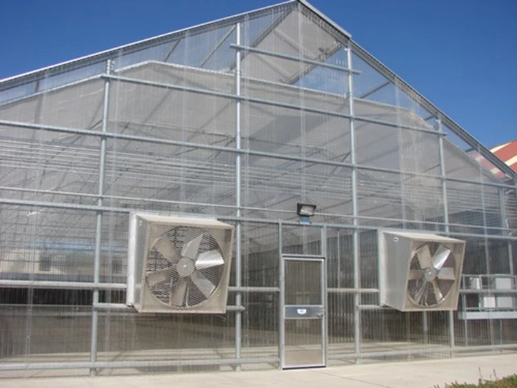 Industrial Factory Greenhouse Ventilation Exhaust Fan_11