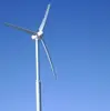 Good quality wind turbine generator 220v for Russia