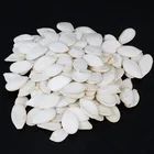 Seeds Bulk Cheap White Pumpkin Seeds In Wholesale Sales