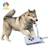 Dogs Water Fountain Toy,hot sell water fountain feeder
