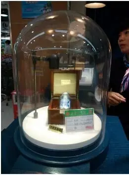 display-glass- dome-with-wood-base-diameter-50cm-height-60cm.jpg
