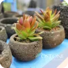 Cheap Small Decorative Volcano Rock Natural Lava Stone Flower Pots For Succulent Plant