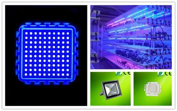 China supplier high radiation 50w 100w 365nm 395nm uv led