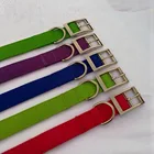 Blue Color Pet Dog Collar,Confortable Padded Dog Collar,Wide Dog Collar for Small Dog