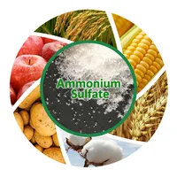 Agriculture Used Ammonium Sulphate Fertilizer NH4