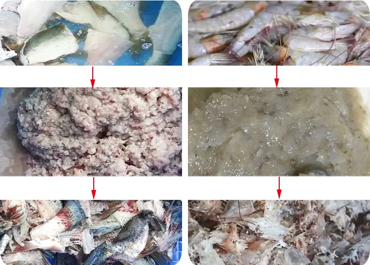 Tilapia Salmon Fish Meat and Bone Separator Machine Fish Meat Separator Machine manufacture