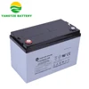 /product-detail/long-working-life-lead-acid-agm-12v-100ah-battery-60567532285.html