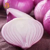onion importers malaysia/onion importers in quatar/onion price 1 kg