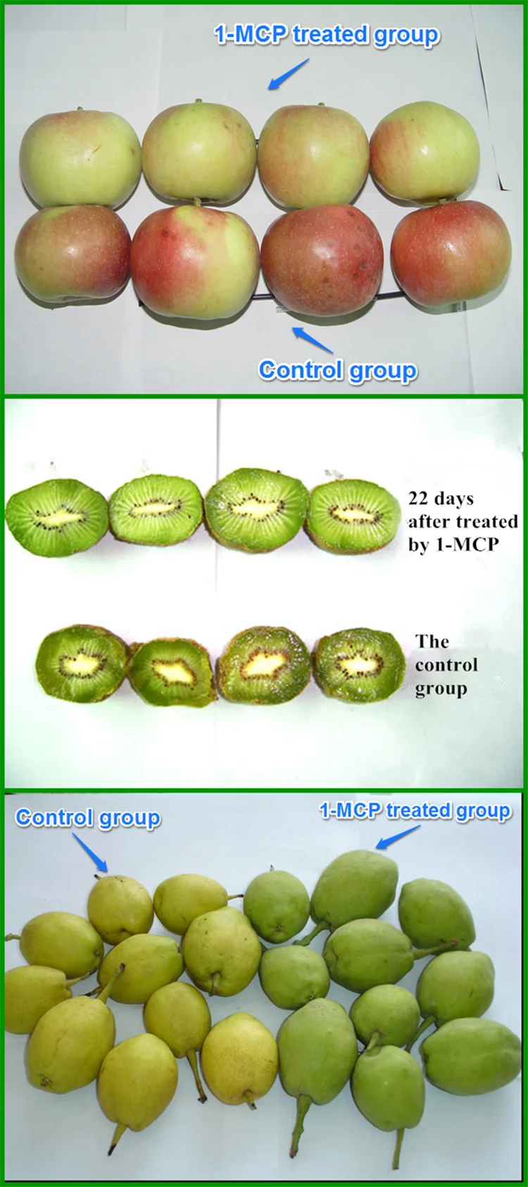 1-MCP on fruits.png