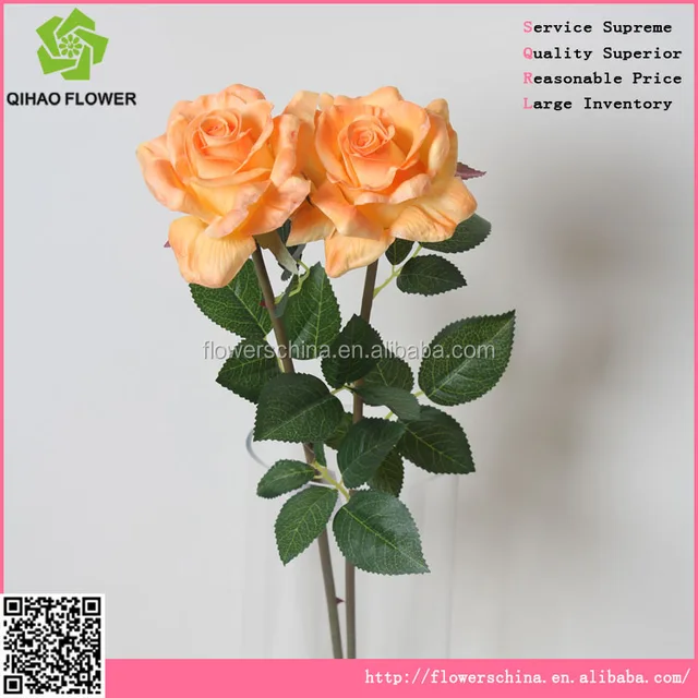 champagne rose petals