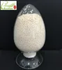 Phoenix alkaloid extraction adsorbent resin