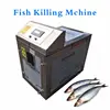 Top Quality fish fillet processing factory