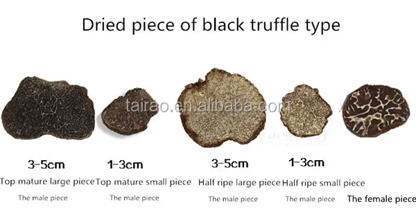 2016 Fresh TRUFFLE for sale from the mountain of China,tuber uncinatum black truffles