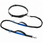 Hot sale dog leash dog bungee collar and leash retractable hands free dog leash