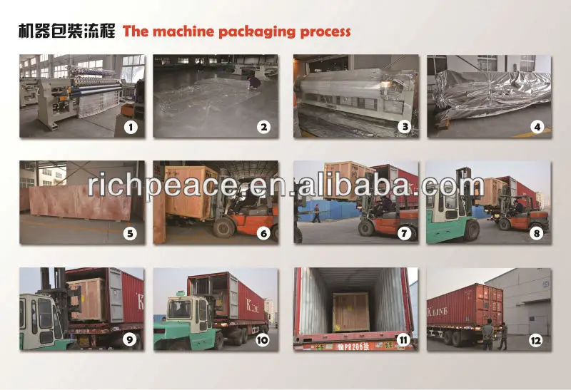 Richpeace Embroidery Machine Flat Sticth Embroidery machine For Sample making machine