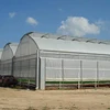 /product-detail/uv-block-treatment-commercial-used-greenhouse-sale-60564555905.html