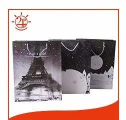04 paper shopping bag.jpg