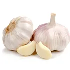 2017 crop good quality chinese normal white garlic