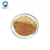 Supply Chinese Herbs Astragalus Extract 40-80% Polysaccharide